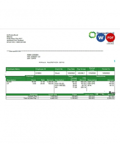 USA Recreational Services entertainment company pay stub Word and PDF template