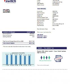 Singapore I Switch electricity utility bill template in Word and PDF format