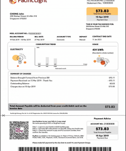 Singapore Pacific Light electricity utility bill template in Word and PDF format