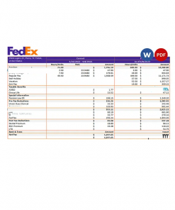 USA Fedex transportation company pay stub Word and PDF template