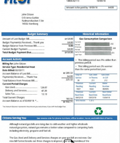 Sweden Fitol gas utility bill template in Word and PDF format