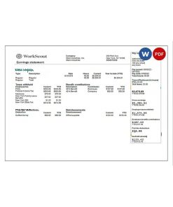 USA IT technologies company earning statement template in Word and PDF format