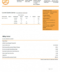 Tajikistan Barqi Tojik Company electricity utility bill template in Word and PDF format