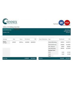 USA IT consulting company employee sheet template in Word and PDF format
