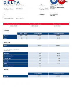 USA Delta Air Lines airlines company pay stub Word and PDF template