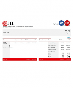 USA JLL real estate company pay stub Word and PDF template