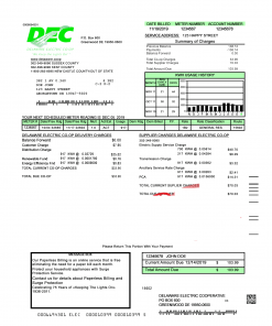 Delaware Electricity Bill – US Proof of Address