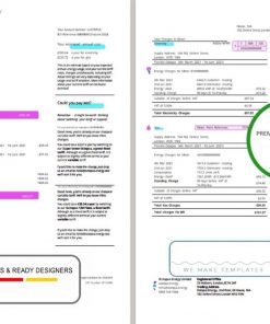United Kingdom Octopus Energy utility bill template in Word and PDF format, 3 pages