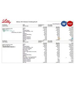 USA pharmaceutical company earnings statement template in Word and PDF format