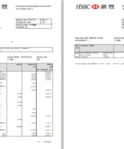 Shanghai Banking Corporation bank statement template in Excel and PDF format (2 pages)