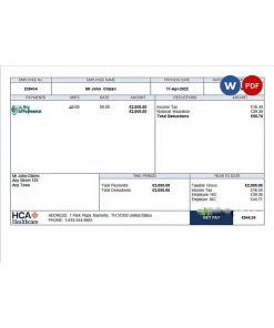 USA healthcare company employee sheet template in Word and PDF format