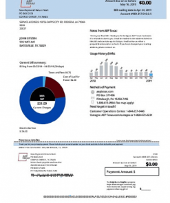 USA AEP Texas electricity utility bill template in Word and PDF format