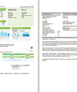 USA Ameren Missouri electricity utility bill template in Word and PDF format (2 pages)