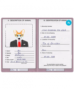 Nauru dog (animal, pet) passport PSD template, fully editable