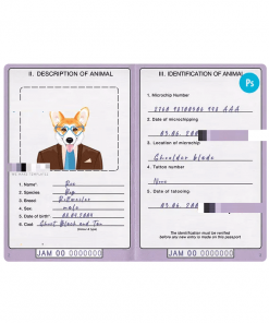 Jamaica dog (animal, pet) passport PSD template, completely editable