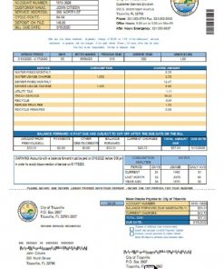 USA City of Titusville Florida utility bill template in Word and PDF format (.doc and .pdf)