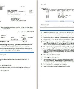 USA Empire District Electric Company utility bill template in Word and PDF format (2 pages)