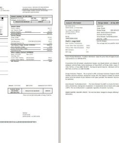 USA Entergy electricity utility bill template in Word and PDF format (2 pages)