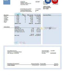 USA financial company earning statement template in Word and PDF format, version 2