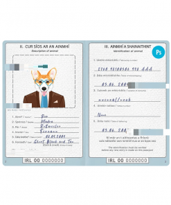 Ireland dog (animal, pet) passport PSD template, completely editable