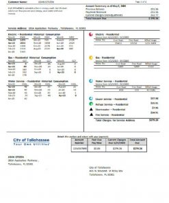 USA Florida City of Tallahassee Florida Your Own Utilities bill template in Word and PDF format