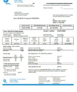 USA Florida Power & Light Company (FPL) electricity utility bill template in Word and PDF format