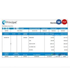 USA financial company earning statement template in Word and PDF format