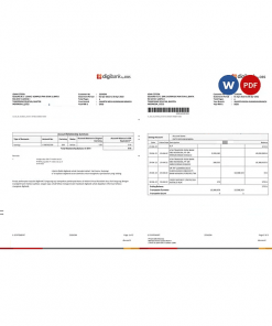 Indonesia DBS Digibank statement, Word and PDF template, 2 pages