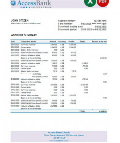 Liberia Access Bank statement Excel and PDF template