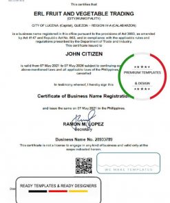 Philippines Department of Trade and Industry (DTI) private entrepreneur certificate template in Word and PDF format