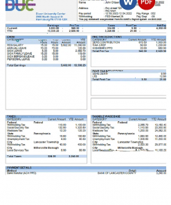 USA Dixon University Center educational company pay stub Word and PDF template