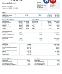 USA Discovery Inc. entertainment company pay stub Word and PDF template