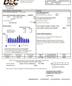 USA Pennsylvania Duquesne light utility bill template in Word and PDF format