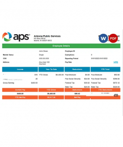 USA APS public services company pay stub Word and PDF template