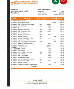 Georgia Bank of Georgia statement Excel and PDF template