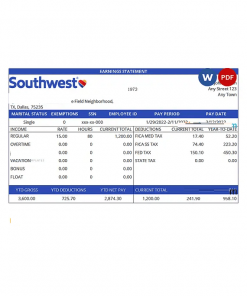 USA Southwest Airlines airlines company pay stub Word and PDF template