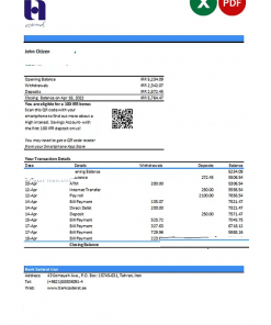 Iran Bank Sederat Iran statement Excel and PDF template