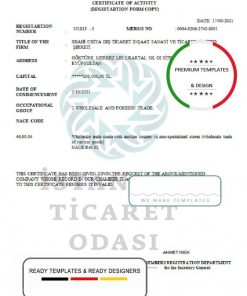 Turkey Istanbul Certificate of Activity template in Word and PDF format