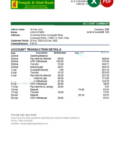 India Punjab and Sind bank statement Excel and PDF template