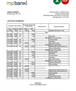 Iceland MP bank statement Excel and PDF template