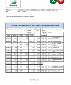 Lebanon Cedrus bank statement Excel and PDF template