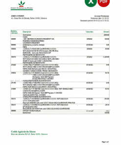 Morocco Credit Agricole bank statement Excel and PDF template
