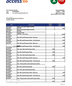 Guinea Access bank statement Excel and PDF template