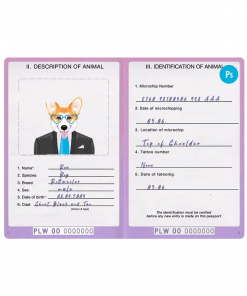 Pakistan dog (animal, pet) passport PSD template, completely editable