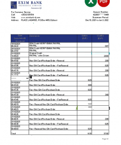 Djibouti Exim bank statement Excel and PDF template
