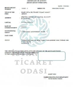 Turkey Istanbul Certificate of Activity template in Word and PDF format