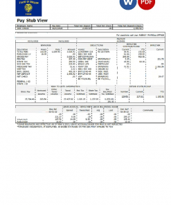 USA commercial company earnings statement template in Word and PDF format