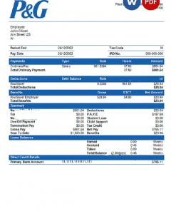 USA Procter & Gamble consumer products company pay stub Word and PDF template