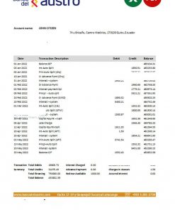 Ecuador Banco del Austro bank statement Excel and PDF template