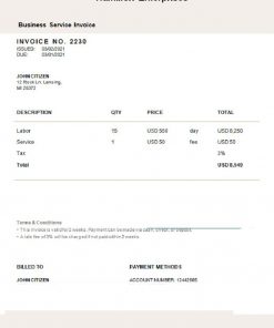 USA Hamilton Enterprises invoice template in Word and PDF format, fully editable